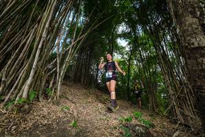 BIB: 
                            <button type="button" onclick="openModal(19395864)" class="btn btn-primary btn-sm float-right btn-popup" data-toggle="modal" data-target=".modal-high-quality">
                        <i class="fas fa-shopping-cart"></i> Add to Cart
                    </button>
                                            <button type="button" onclick="isThisMe(19395864, true)" class="btn btn-success btn-sm float-right btn-popup btn-isme hidden" data-toggle="tooltip" data-placement="bottom" title="นี่คือรูปของคุณใช่ไหม คลิกที่นี่เพื่อเอาเข้าอัลบั้ม">
                        <i class="fas fa-plus"></i> Add to album
                    </button>
                    <button type="button" onclick="isThisMe(19395864, false)" class="btn btn-warning btn-sm float-right btn-popup btn-isnotme hidden">
                        <i class="fas fa-ban"></i> Remove from album
                    </button>